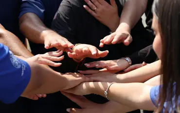 Corporate climate, organizational culture, and values development consulting