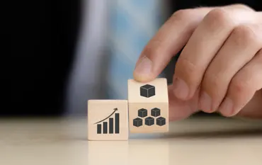 Lean and Kaizen systems development consulting